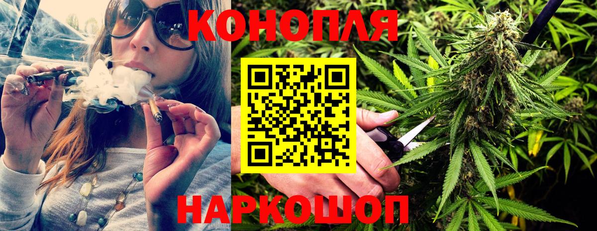 Каннабис индика Жуковский